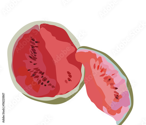 Watermelon Isolated on white, Watermelon fruit in watercolor technique Vector...