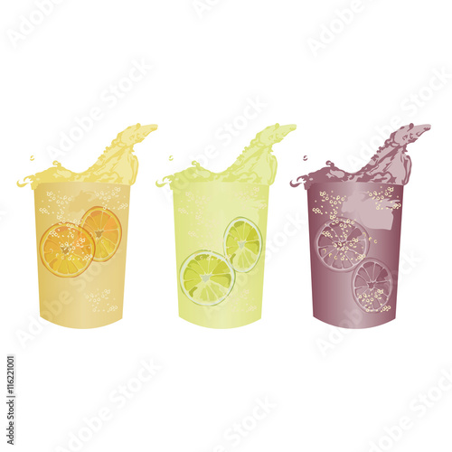Summer cocktail fresh drinks Vector