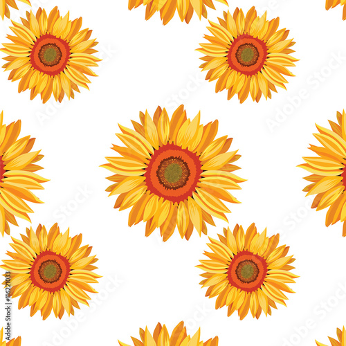 Fototapeta Naklejka Na Ścianę i Meble -  Sunflower Vector pattern background