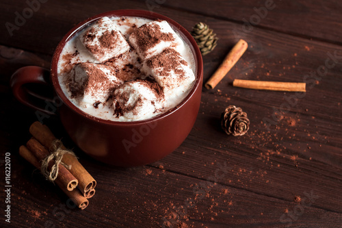 Photography Hot chocolate in a mug, marshmallows, cinnamon sticks and fir cones