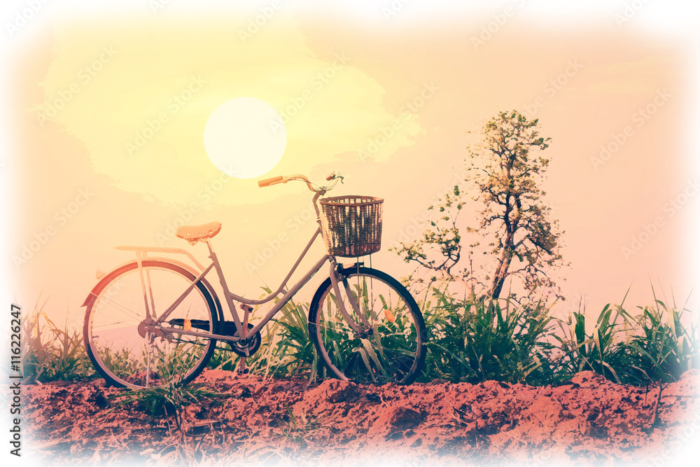 Obraz Akwarela malarstwo piękny rocznika rower w polu z kolorowym światłem słonecznym; styl vintage filtr na kartkę z życzeniami i pocztówkę.