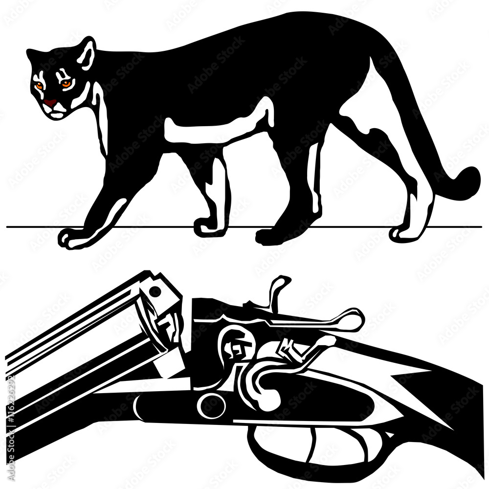 Black clearance puma hunting