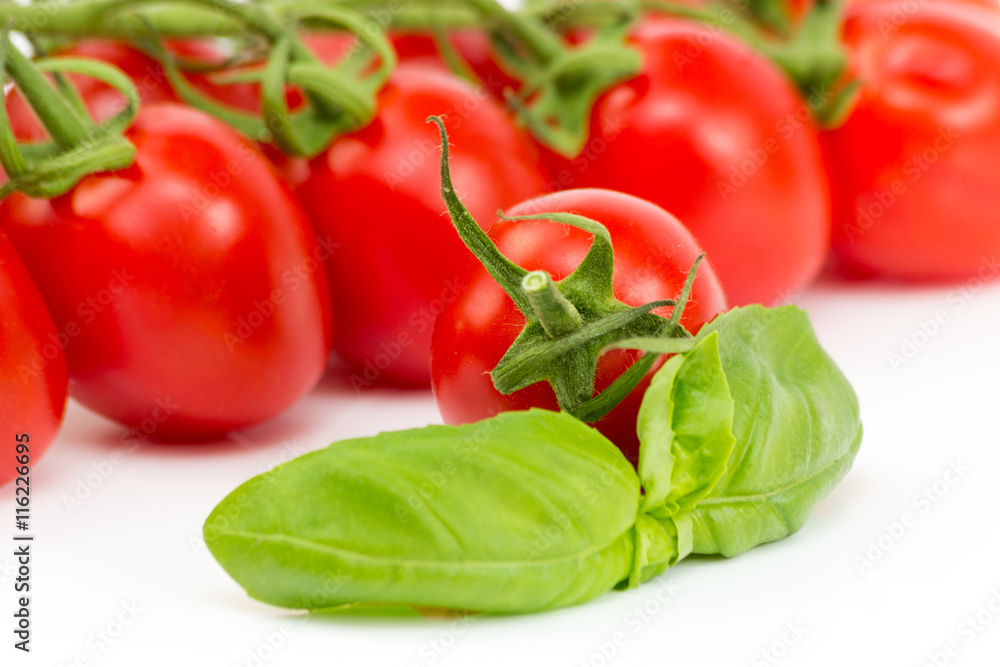 Tomate mit Basilikumblatt vor Tomaten rispen auf weißem Hintergrund isoliert Tomate mit Basilikumblatt vor Tomaten rispen auf weißem Hintergrund isoliert