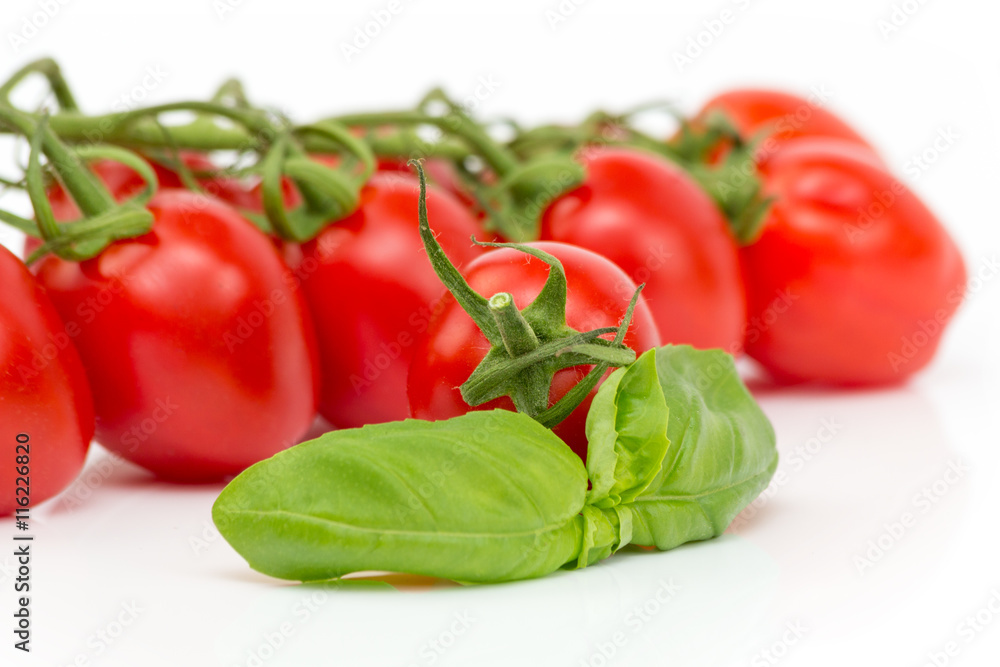 rote Tomate liegt vor Basilikumblatt mit Tomatenrispen auf weißem Hintergrund