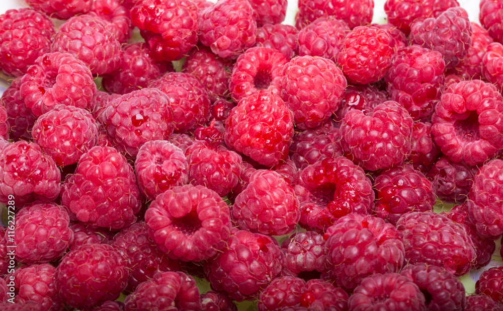A beautiful selection of freshly picked ripe red raspberries. A beautiful selection of freshly picked ripe red raspberries.