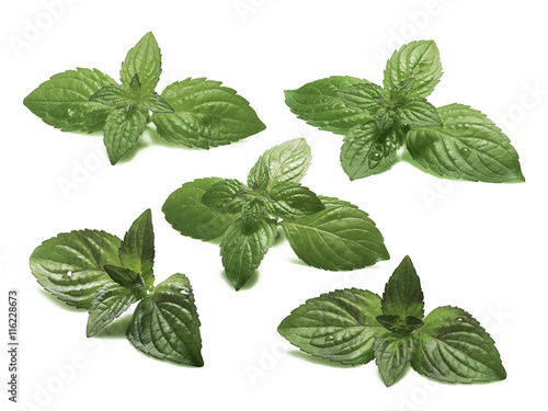 Set of sweet mint leaves, clipping paths