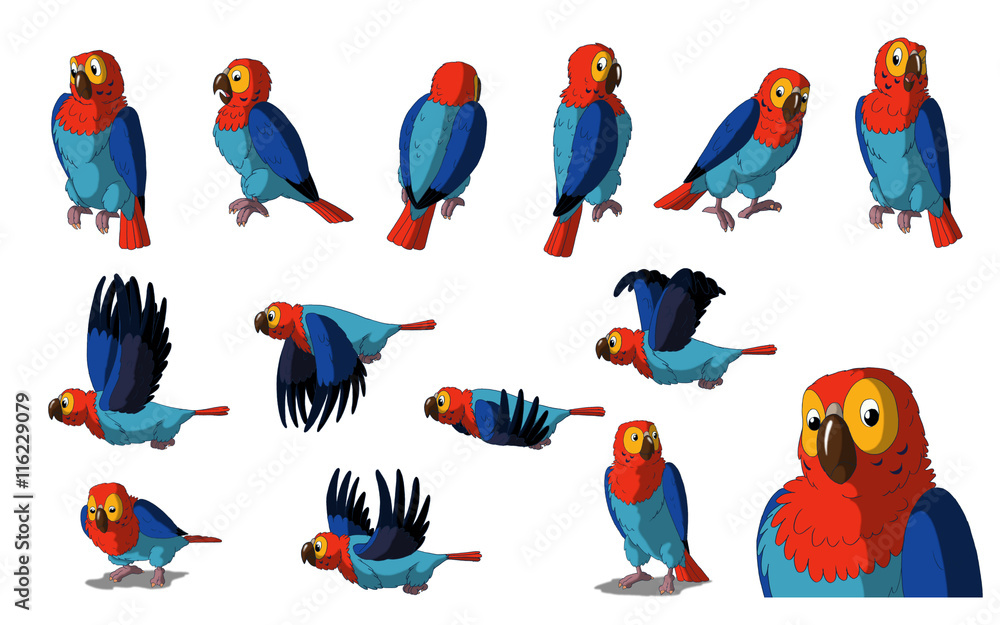 Obraz premium Macaw Parrot Isolated on White Background