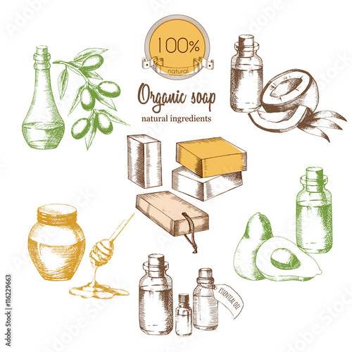 A set of ingredients for organic and natural soap. Sketch freehand drawing in graphic style. Vector illustration