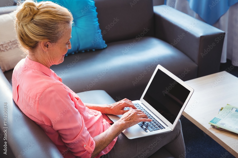 Naklejka premium Senior woman using a laptop