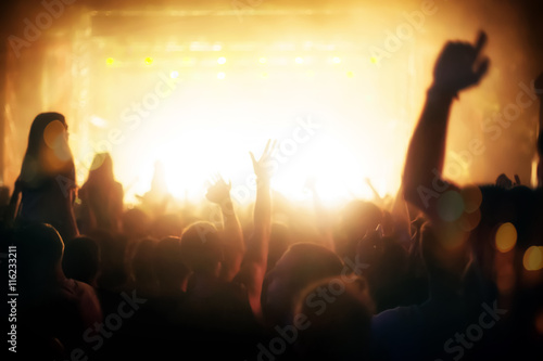 Wallpaper Mural Party people attending a concert Torontodigital.ca