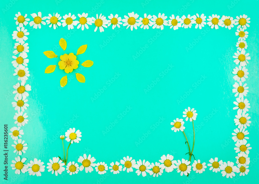 Frame with flowers and sun of daisies