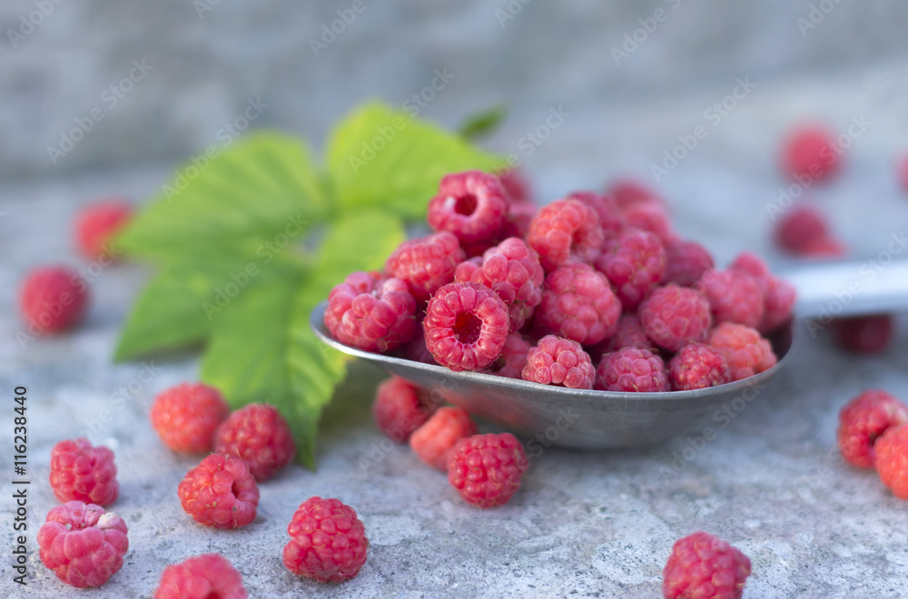 raspberries in the metallic spoon raspberries in the metallic spoon