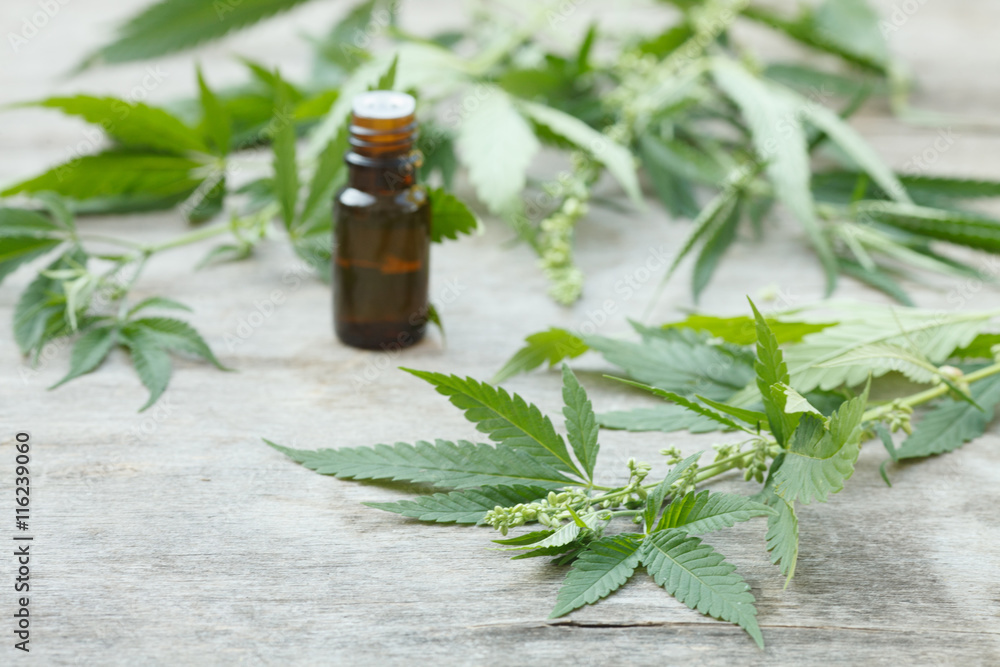 cannabis essential oil container with cannabis leaves cannabis essential oil container with cannabis leaves