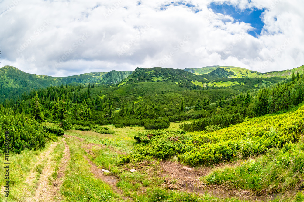 Carpathian Mountains. Mountain trail to the highest mountain of Ukraine Hoverla. Chornogora ridge.