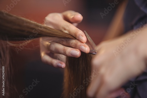 Female getting her hair trimmed