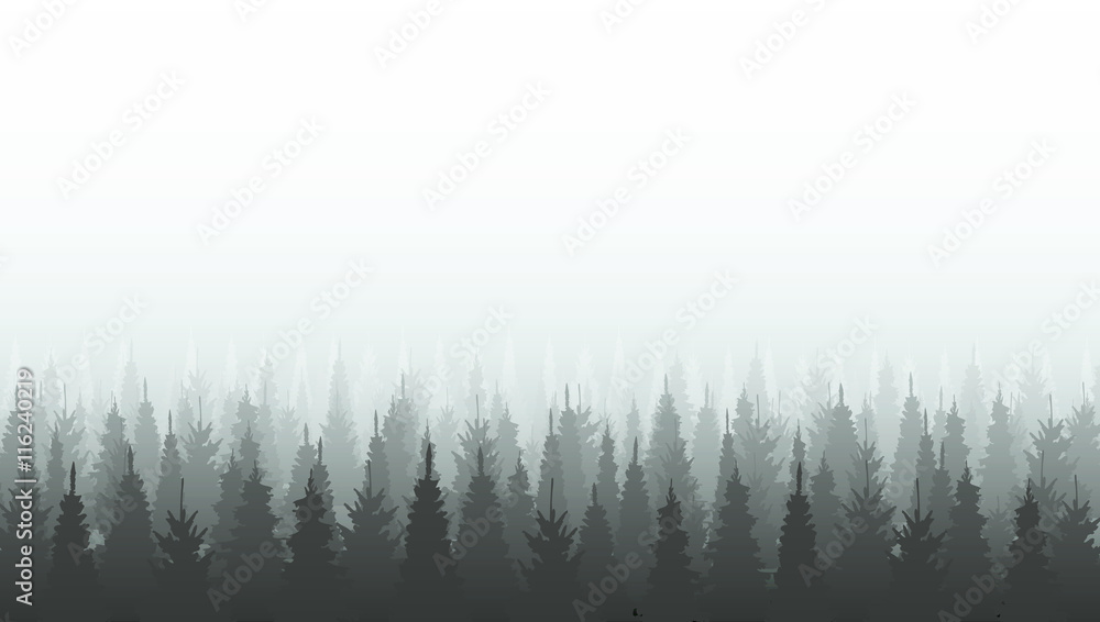 Fototapeta premium Coniferous forest silhouette template. Woods illustration