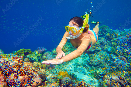 snorkeling woman above the vivid coral reef