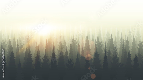 Coniferous forest silhouette template. Sunset, sunrise, dusk
