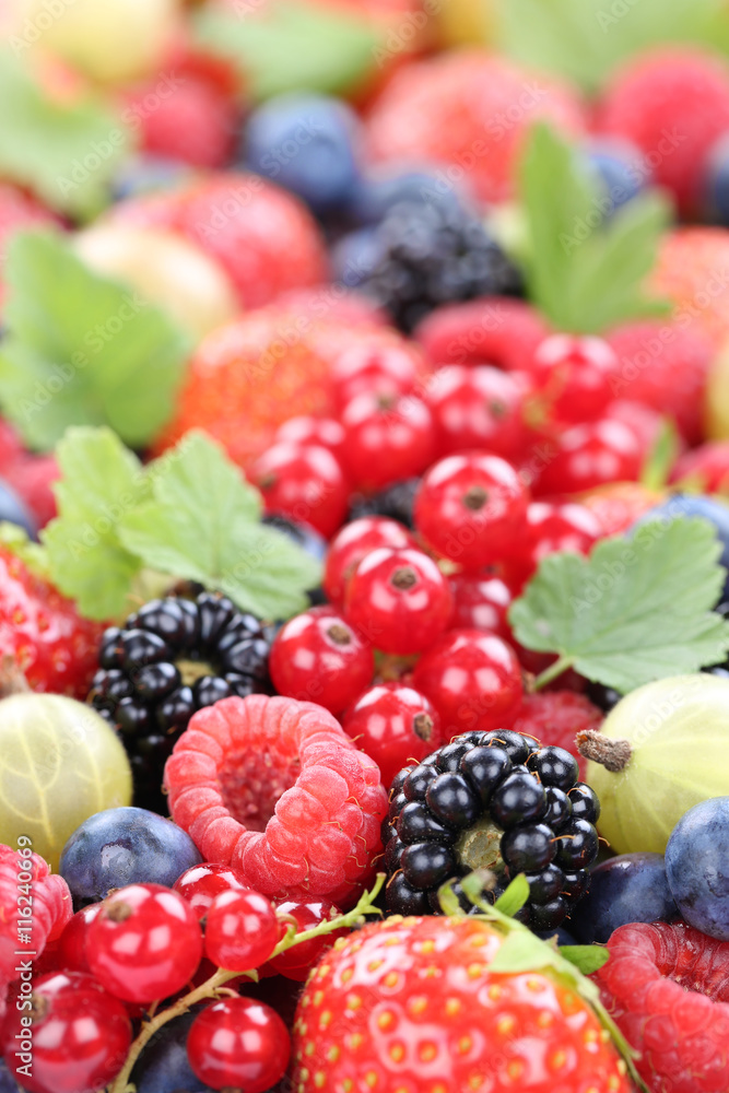 Beeren frische Früchte Erdbeeren Himbeeren Blaubeeren Blätter Beeren frische Früchte Erdbeeren Himbeeren Blaubeeren Blätter