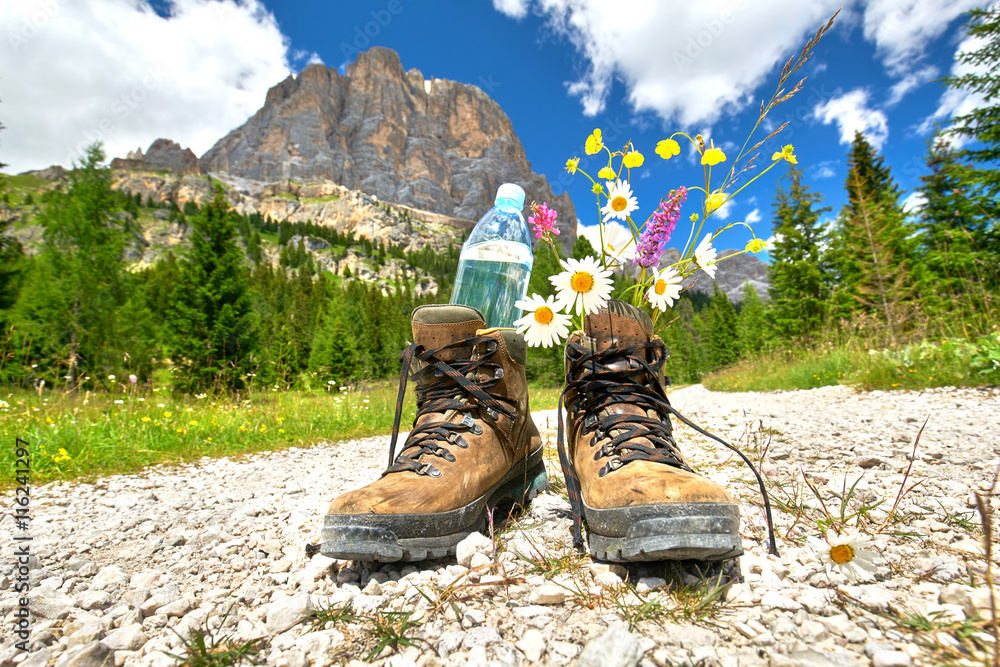 Wunschmotiv: Wanderschuhe mit Wasserflasche und Blumen, Wandern in den Bergen #116241297