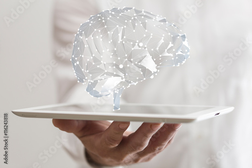 brain