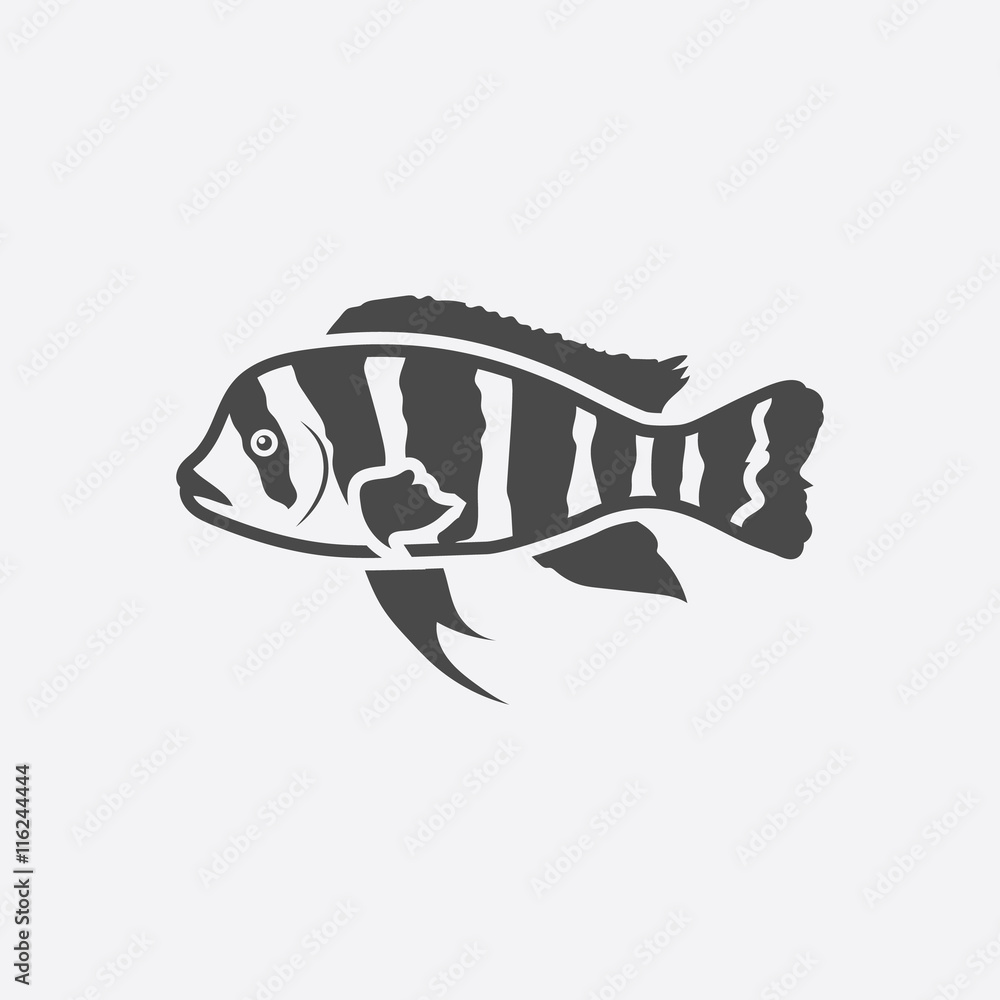 Frontosa Cichlid Cyphotilapia Frontosa Fish Icon Black Simple Singe frontosa-cichlid-cyphotilapia-frontosa-fish-icon-black-simple-singe