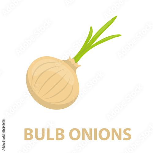 Onion icon cartoon. Singe vegetables icon from the eco food set - stock vector