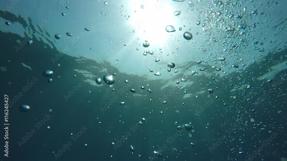 ascend to the sea surface in the sun, raw without effects ascend to the sea surface in the sun, raw without effects