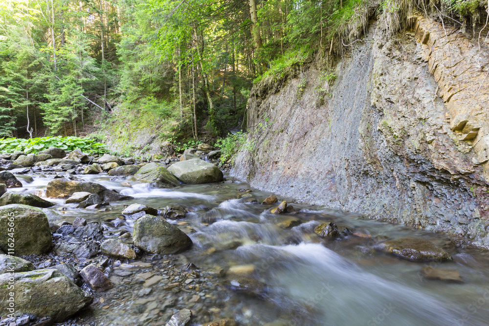Fototapeta premium Mountain river flowing through the deep moss green forest