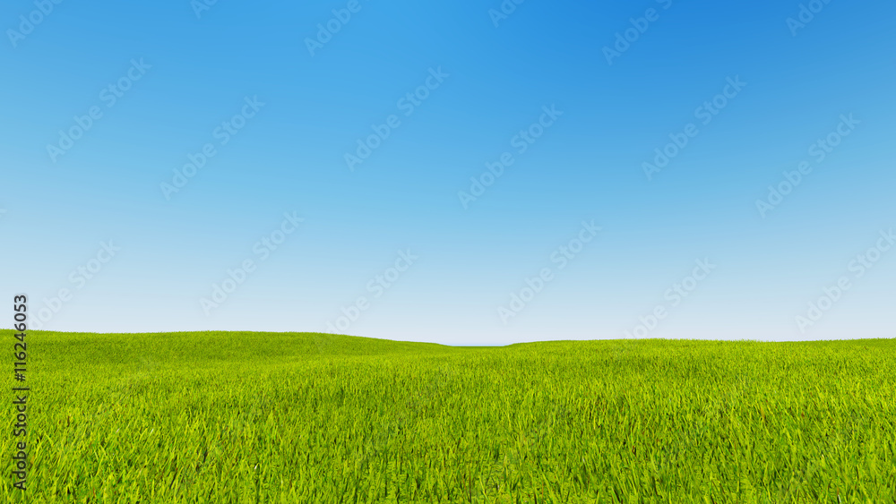 Landscape green grass blue sky 3d rendering Landscape green grass blue sky 3d rendering