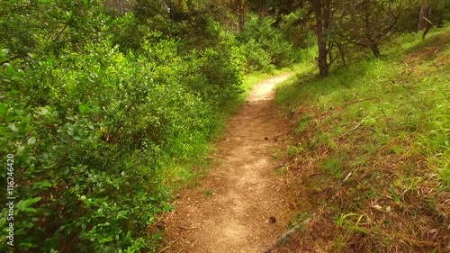 Walking on dangerous path. photo