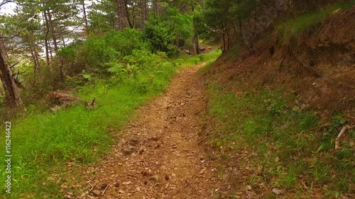 Walking down on a dangerous path, civered with sharp rocks. photo