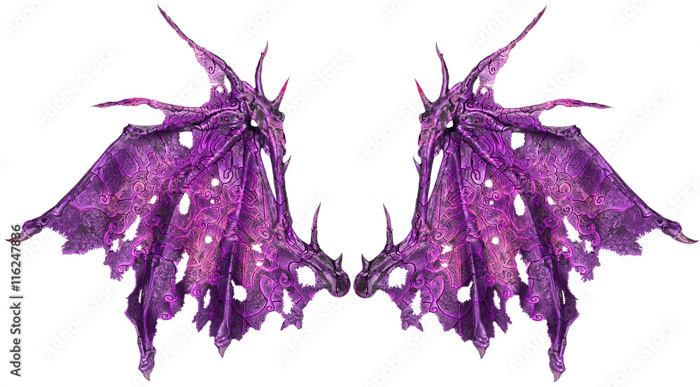 Obraz premium Dragon wings isolated on white background. Close up.