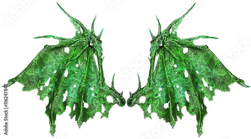 Dragon wings isolated on white background. Close up.