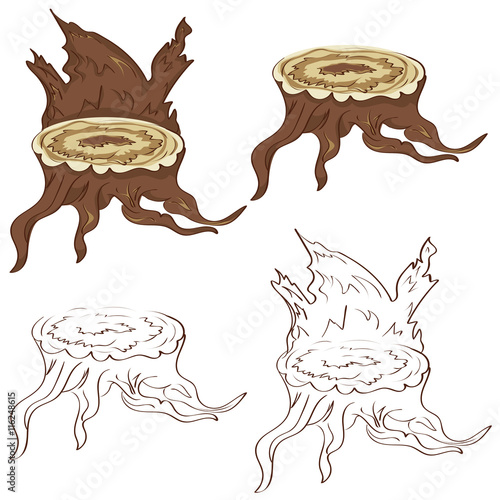 Tree Stump with Roots