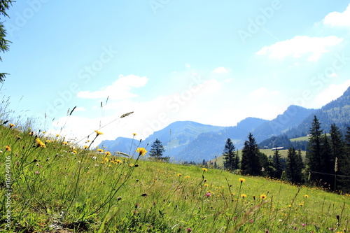 Naturwiese vor Berggipfeln und blauem Himmel photo