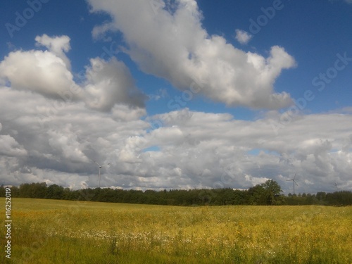 Fields and meadows