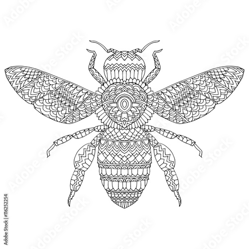 Beetle deer. Horned Beetle. Big. Insect. Set. Line art. Black and white drawing by hand. Graphic arts. Doodle. Tattoo. Lucanus cervus.