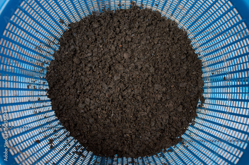 Cow dung in basket after soak inwater for reduce heat. photo