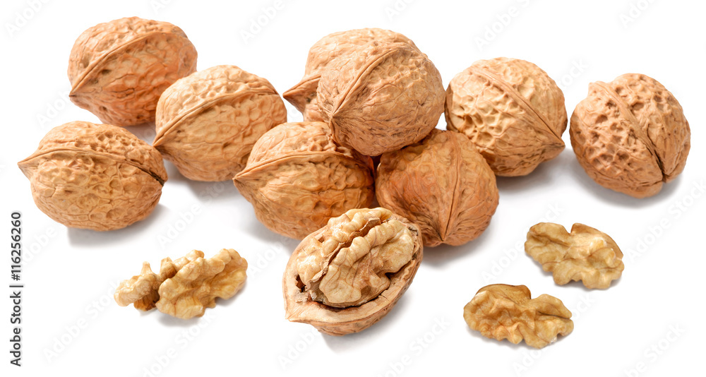 cracking walnuts on white cracking walnuts on white