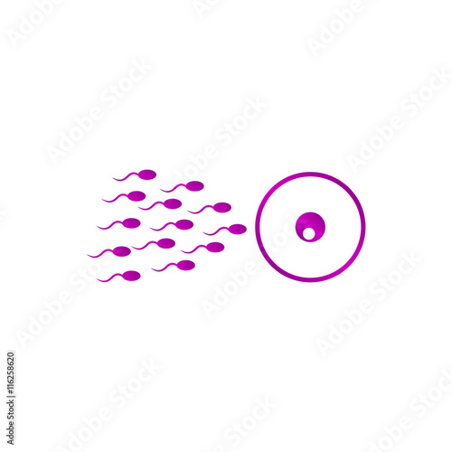 Sperm and egg cells thin line icon