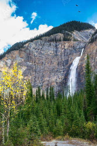 The falls Takakkaw of glacier Daly photo