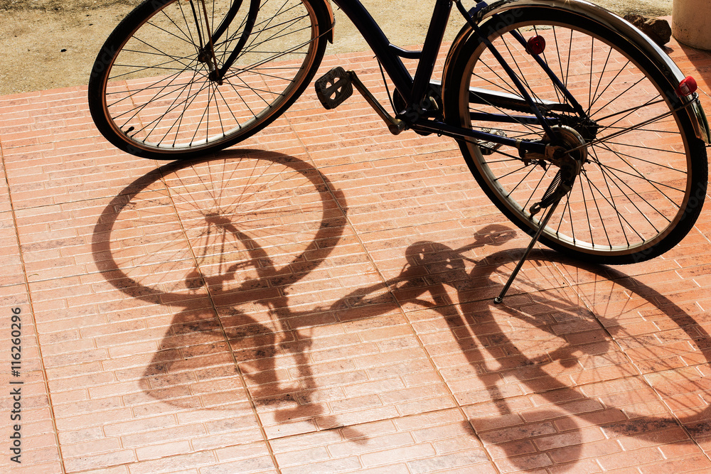 The bicycle structure in the shadow view