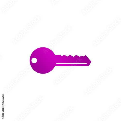 Key vector icon
