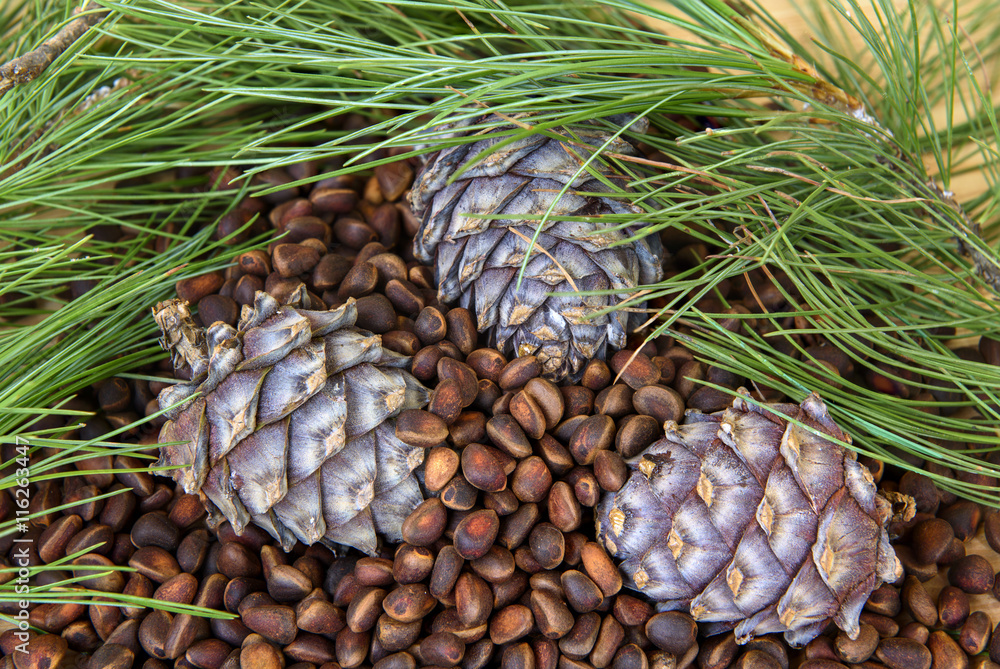 Pine cones and needles closeup on a wooden table
Pine cones and needles closeup on a wooden table
