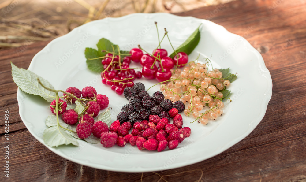 wild berries on plate wild berries on plate