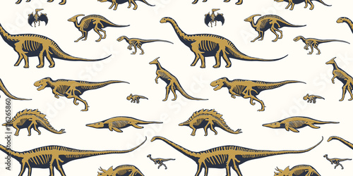 Seamless pattern  endless repeatable background with silhouettes set of skeletons of dinosaurs and fossils. Hand drawn vector illustration. Comparison of realistic size  separated elements.
