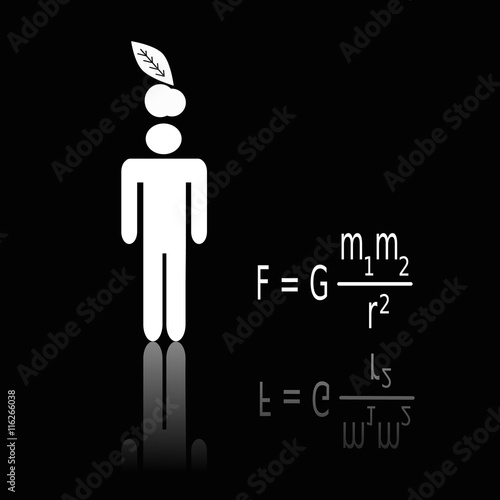 Newtons Gravitationsgesetz, Gedankenblitz 