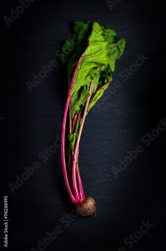 Young beet with leaves on black background