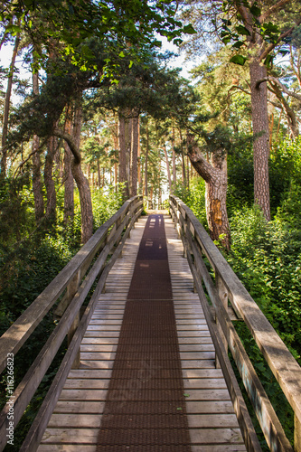 Bridge to Linnam  ki  Porvoo